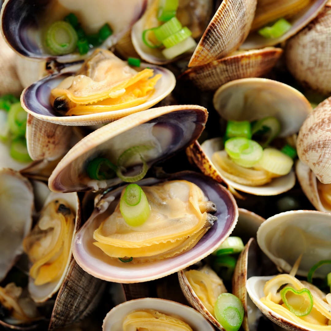 Cooked East Coast Clams - The Catch