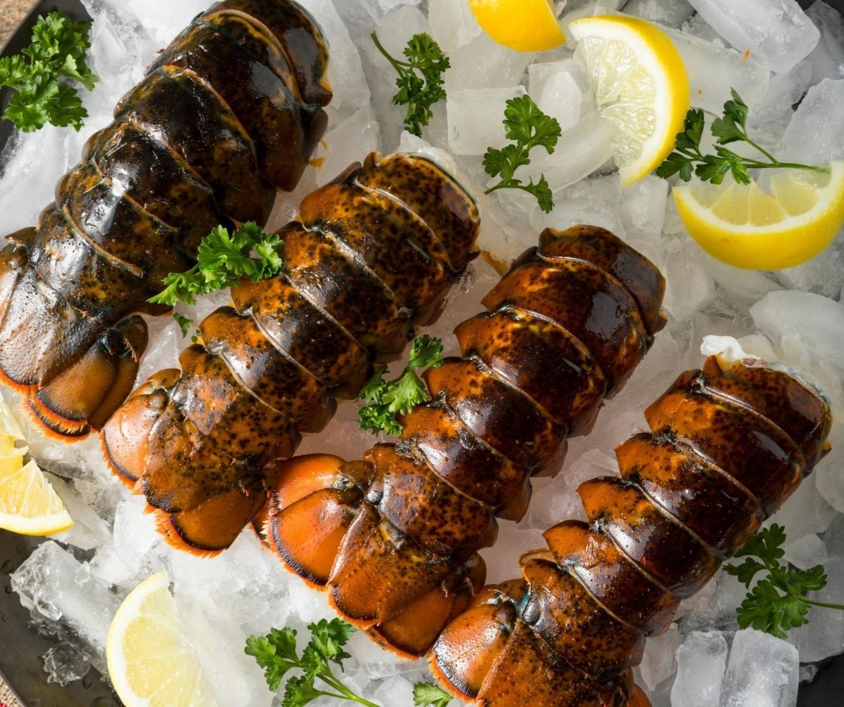 Maine Cold Water Lobster Tail 10/12 oz.Per Piece - Fresh Fish Fast