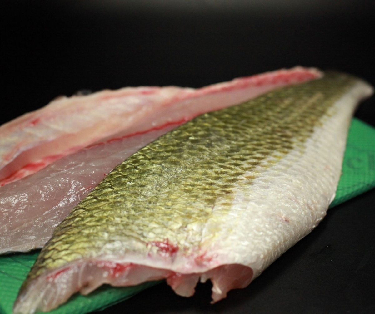 Redfish Fillet on the Halfshell Per Pound - Fresh Fish Fast